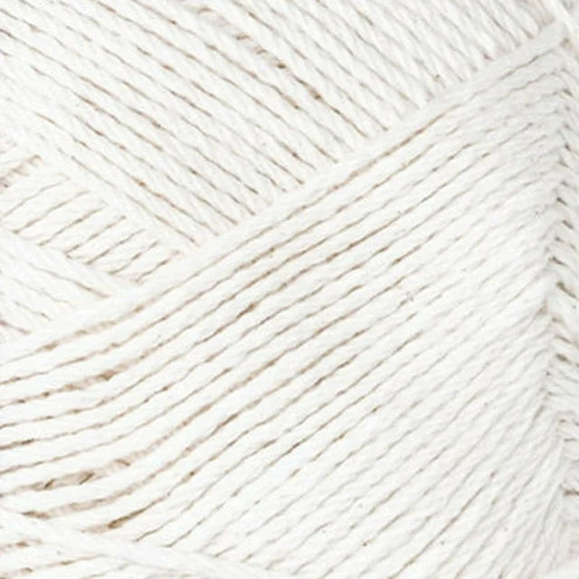 Crochet Winter Hat